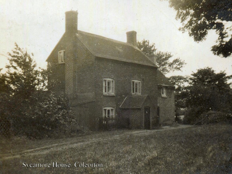 The Sycamores 1936