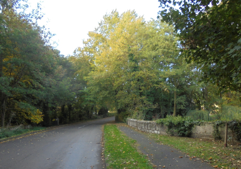 Fish Pond Bridge, Coleorton